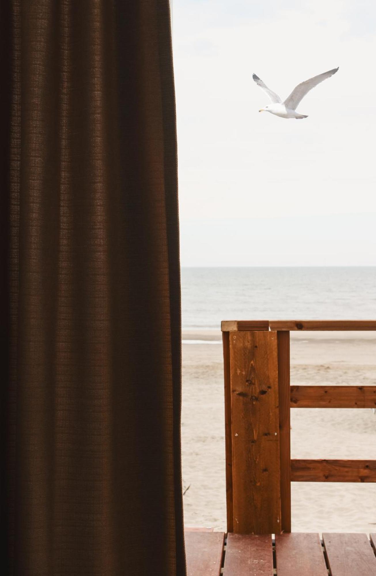 Strandhuisjes Zoomers Aan Zee Castricum Zewnętrze zdjęcie